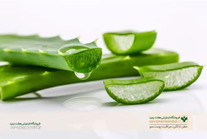 تاثیرات آلوئه وراتاثیرات آلوئه ورا