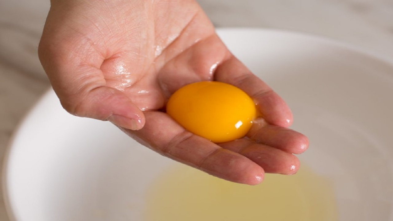 خواص زرده تخم مرغ