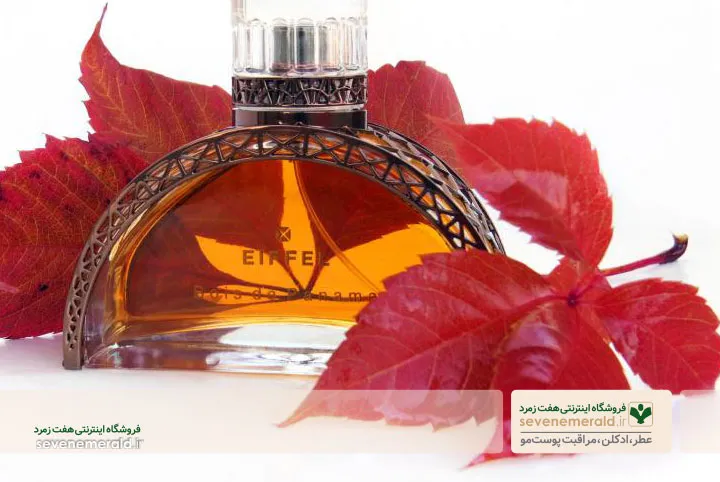 عطر زمستانی و پاییزی
