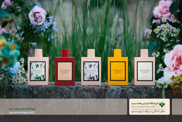 عطر گوچی بلوم