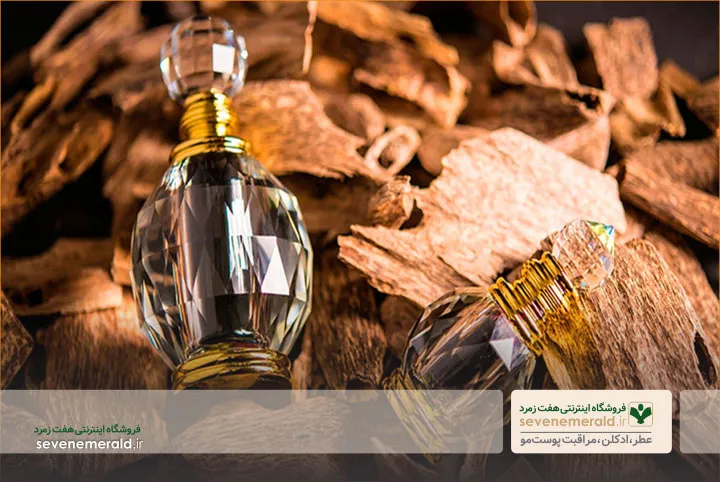 عطر کلاسیک سالمندان